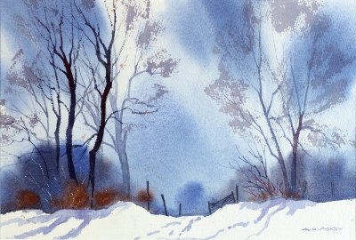 Winter in the Nature Reserve